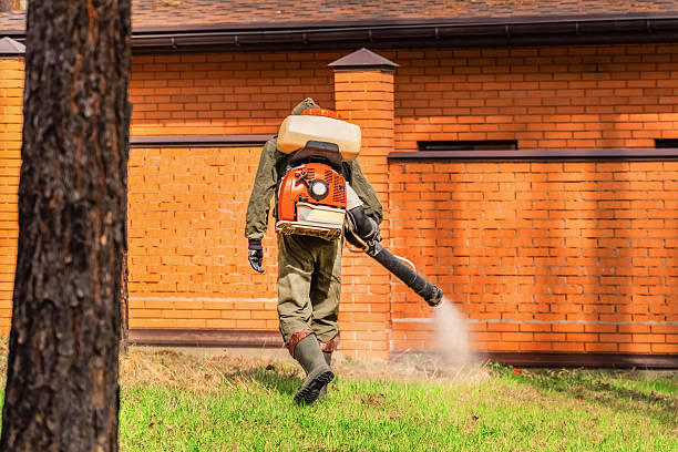 Trusted Fumigation Services service in Lucas Valley-Marinwood, CA - Nex Pest Control